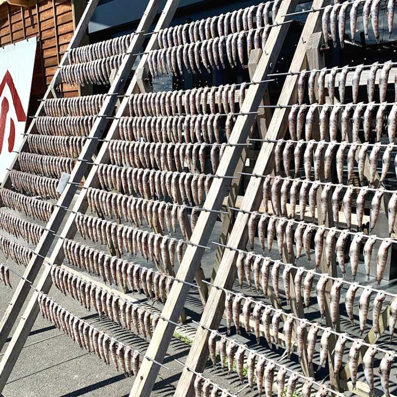 【ふるさと納税】いわき市の魚 めひかりの干物 24尾 ｜ メヒカリ 干物 ひもの 贈答 贈り物 ギフト ｜ 福島県 いわき市 大川魚店 CK007