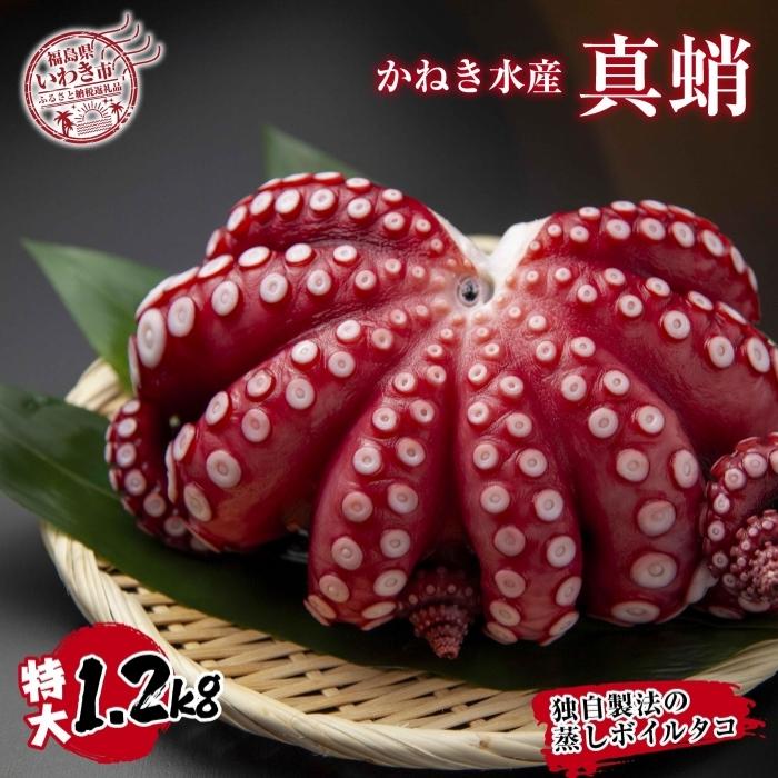 【ふるさと納税】真蛸（蒸しボイルたこ）大1.2kg！　調理簡単で便利！おかずの一品やお酒のお供に！水..