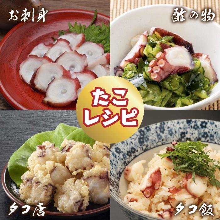 【ふるさと納税】真蛸（蒸しボイルたこ）500g×2杯　調理簡単で便利！おかずの一品やお酒のお供に！水産加工会社直送 3