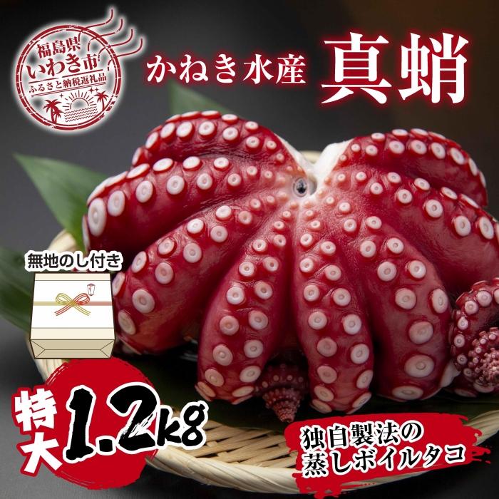 【ふるさと納税】【無地熨斗付き】真蛸(蒸しボイルたこ)大1.2kg！　調理簡単で便利！おかずの一品やお酒のお供に！