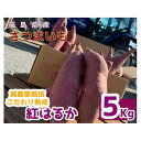 【ふるさと納税】サツマイモ　紅はるか　5Kg　サイズおまかせセット | 野菜 やさい 食品 人気 おすすめ 送料無料