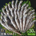 【ふるさと納税】特大めひかり寒風天日干し 30尾