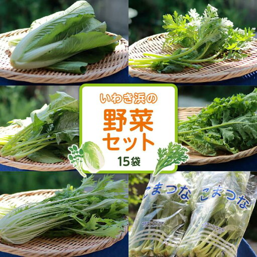 【ふるさと納税】いわき浜の野菜セット(いわき市産の野菜詰め合わせセット) 【ふるさと納税】いわき浜の野菜セット(いわき市産の野菜詰め合わせセット)