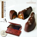 【ふるさと納税】めひかり 塩チョコ ギフト セット A ( レギュラー 10個 ビター 10個 ) チョコレート 大粒 海塩 スイーツ お取り寄せ 手作り 生キ...
