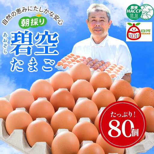 【ふるさと納税】碧空たまご 80個入り Lサイズ タマゴ 卵 玉子 たまご F21R-021 【ふるさと納税】碧空たまご 80個入り Lサイズ タマゴ 卵 玉子 たまご F21R-021