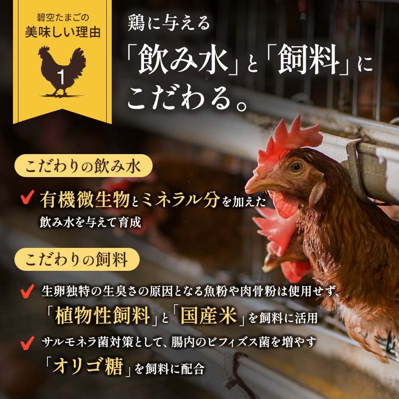 【ふるさと納税】碧空たまご 160個入り Lサイズ タマゴ 卵 玉子 たまご F21R-022