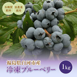 《先行予約》【ふるさと納税】白河産冷凍ブルーベリー 1kg F21R-051