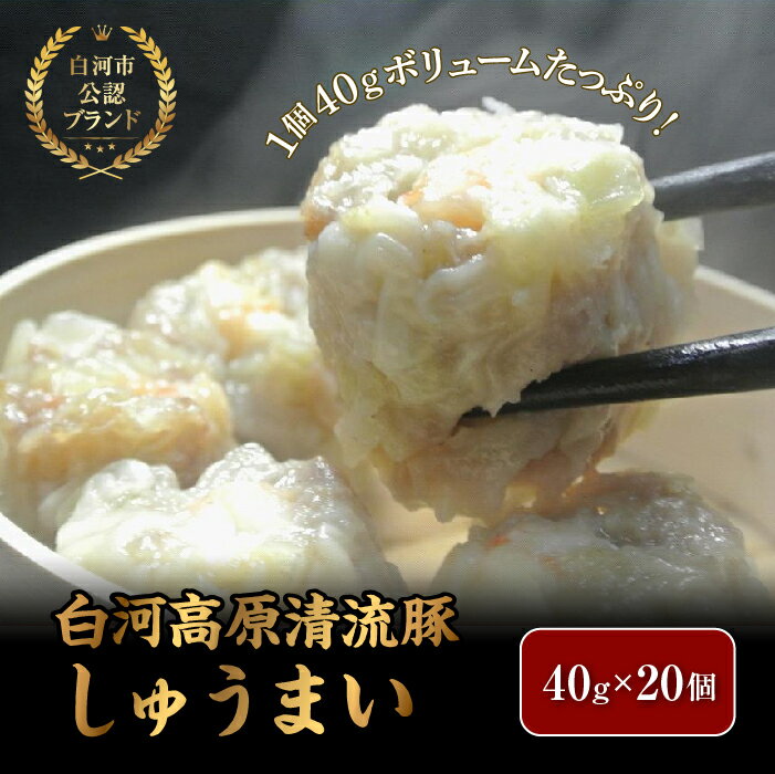 3位! 口コミ数「4件」評価「5」「白河高原清流豚」をメイン食材としたしゅうまい 1個40gとボリューム感のある一品（20個入り） F21R-090