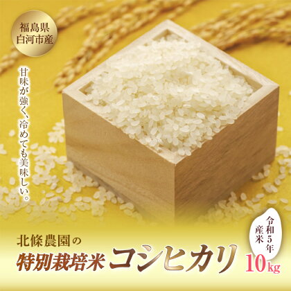 令和5年産米 北條農園の特別栽培米(コシヒカリ) 10kg F21R-100