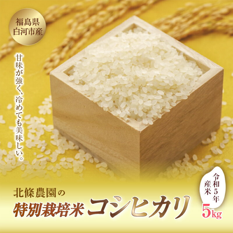 令和5年産米 北條農園の特別栽培米(コシヒカリ) 5kg F21R-102