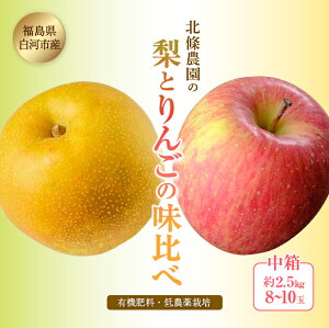 【ふるさと納税】北條農園の有機肥料、低農薬栽培の【梨とりんごの味比べ】中箱 約2.5kg 8~10玉 F21R-108