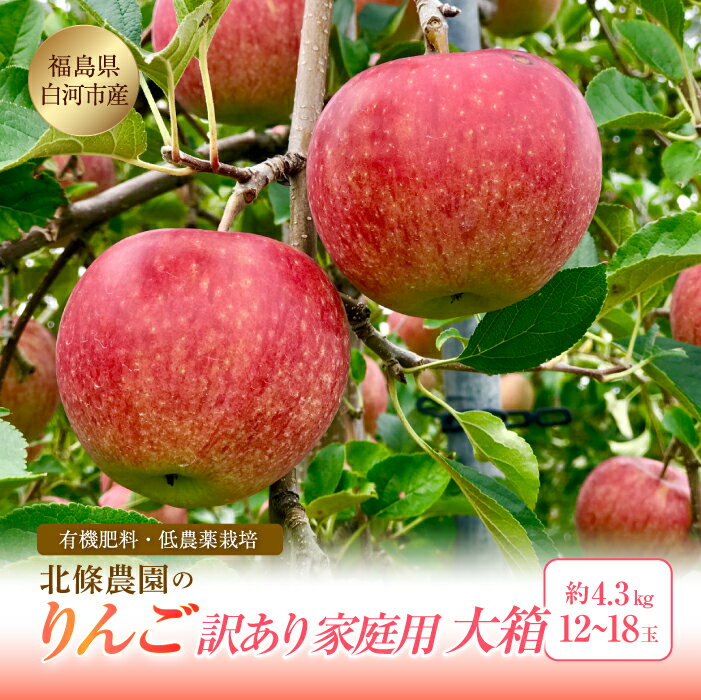 【ふるさと納税】訳あり りんご 有機肥料 低農薬栽培 家庭用 大箱 4.3kg 12〜18玉 福島県 白河市 リンゴ F21R-109のサムネイル