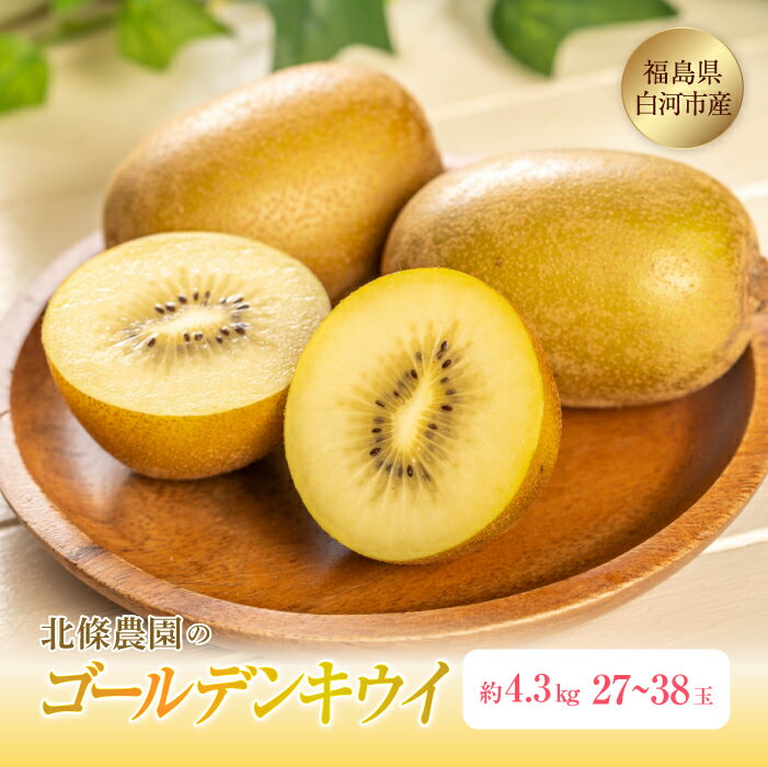 【ふるさと納税】北條農園のゴールデンキウイ 約4.3kg 27〜38玉 F21R-112のサムネイル