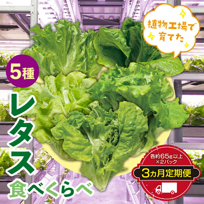 21位! 口コミ数「0件」評価「0」定期便 3ヶ月連続 植物工場で育てた5種のレタス食べくらべセット 10パック F23R-785