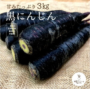 【ふるさと納税】都内マルシェで人気のお野菜！ 〈有機JAS認証〉黒にんじん 3kg F21R-193