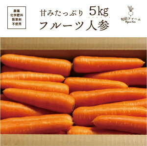 【ふるさと納税】都内マルシェで人気のお野菜！ 甘みたっぷりフルーツにんじん 5kg F21R-196