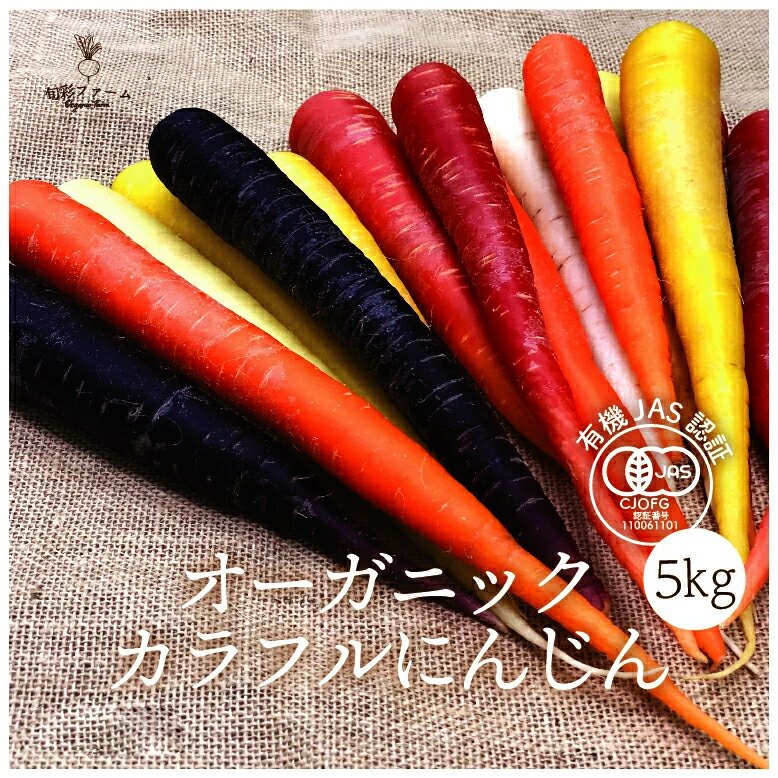 20位! 口コミ数「0件」評価「0」都内マルシェで人気のお野菜！ 〈有機JAS認証〉カラフルにんじん 5kg F21R-198