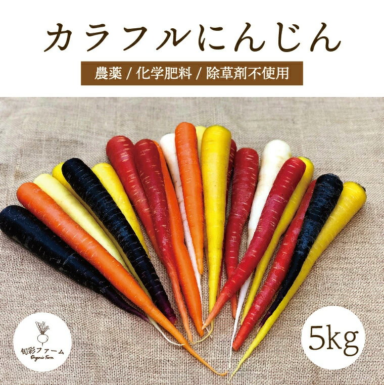 【ふるさと納税】都内マルシェで人気のお野菜！ 〈有機JAS認証〉カラフルにんじん 5kg F21R-198