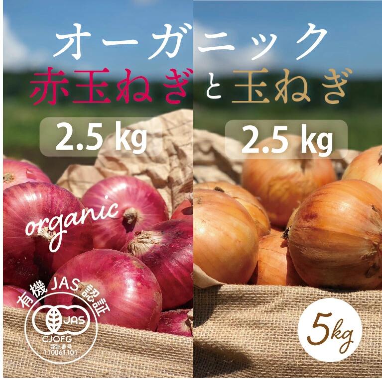 【ふるさと納税】《先行予約》〈有機JAS認証〉甘玉ねぎとオーガニック赤玉ねぎ各2.5kg 計5kg F21R-203のサムネイル