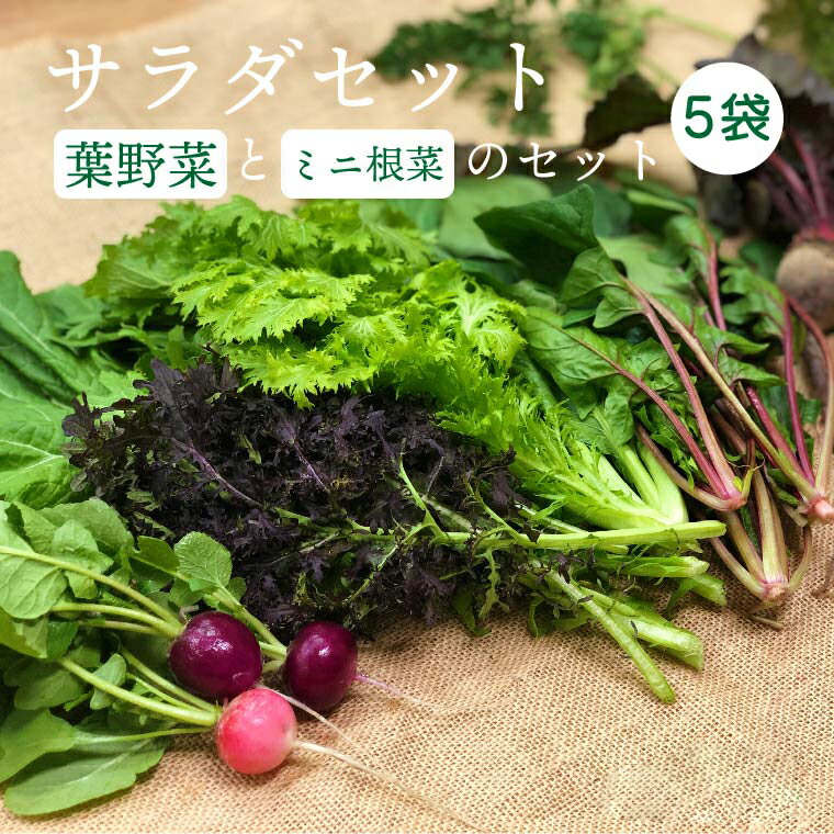 22位! 口コミ数「0件」評価「0」都内マルシェで人気のお野菜！ サラダに最適！葉野菜とミニ根菜のセット 5袋 F21R-208