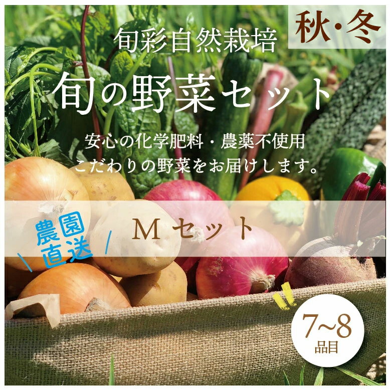 5位! 口コミ数「0件」評価「0」都内マルシェで人気のお野菜！ 秋冬 旬の野菜セットMサイズ(7～8品) F21R-212