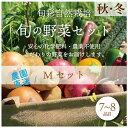 16位! 口コミ数「0件」評価「0」都内マルシェで人気のお野菜！ 秋冬 旬の野菜セットMサイズ(7～8品) F21R-212