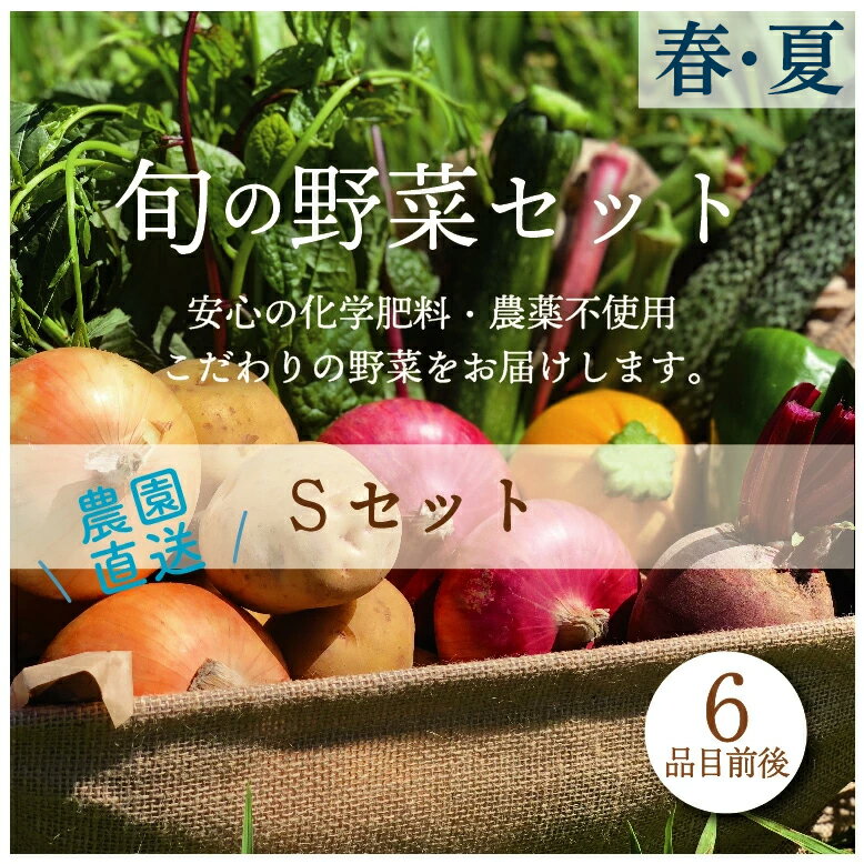 1位! 口コミ数「0件」評価「0」都内マルシェで人気のお野菜！ 《先行予約》春夏 旬の野菜セットSサイズ(6品前後) F21R-213