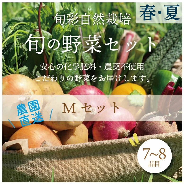 都内マルシェで人気のお野菜! [先行予約]春夏 旬の野菜セットMサイズ(7〜8品目) F21R-214