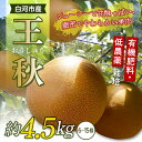 【ふるさと納税】有機肥料・低農薬栽培の梨「王秋」約4.5kg(6~15個) F21R-568
