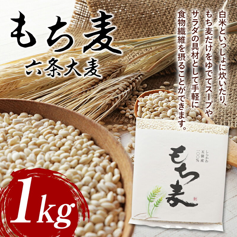 もち麦(六条大麦)1kg F21R-759