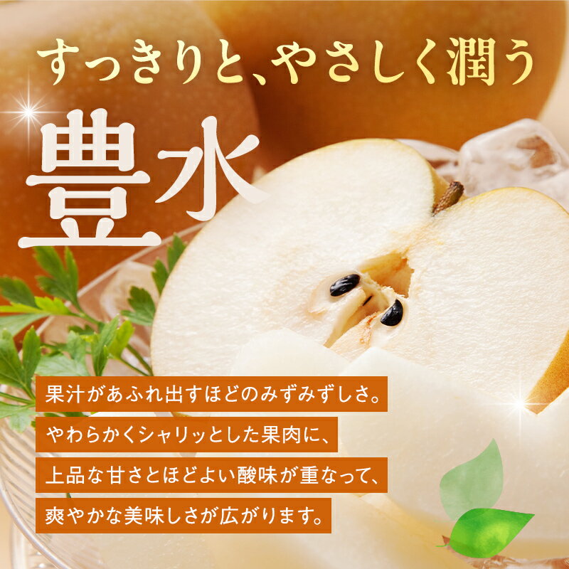 【ふるさと納税】【容量が選べる！】《2025年秋出荷》味が濃い梨 豊水 梨 先行予約 なし 果物 くだもの デザート ギフト ナシ 甘い 福島県 白河市 F21R-854var
