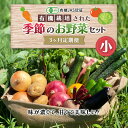 【ふるさと納税】《有機JAS認証》オーガニック 季節のお野菜セット（小）定期便 3ヶ月連続 F21R-863