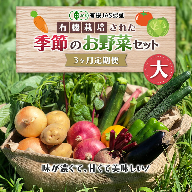 【ふるさと納税】《有機JAS認証》オーガニック 季節のお野菜セット（大）定期便 3ヶ月連続 F21R-864