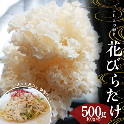 ＜数量限定＞いにしえの輝き花びらたけ 500g（100g×5パック） F23R-613