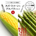 返礼品詳細 名称 スイートコーンとアスパラのセット（大） 内容量 ・アスパラ　約1kg（約500g×2） サイズL（30本～40本） ・スイートコーン　10本 －品種：恵味などそのときに収穫できたもの 消費期限 発送後7日前後 配送方法 冷蔵 事業者 ガンバ農園 ※注意事項 ※画像はイメージです。 ・ふるさと納税よくある質問は こちら ・寄付申込みのキャンセル、返礼品の変更・返品はできません。あらかじめご了承ください。【ふるさと納税】《先行予約》アスパラ親方の甘い夏物語 スイートコーンとアスパラのセット（大） 【ふるさと納税】《先行予約》アスパラ親方の甘い夏物語 スイートコーンとアスパラのセット（大） アスパラ親方の甘～い夏の思い出！ 自慢の甘くておいしいアスパラと夏の風物詩スイートコーンをセットにしてお届けします！ アスパラは味よし、長さよし、太さよし！のガンバ農園で一番の作物です。 太く、みずみずしいアスパラが育つ環境で育ったとうもろこしが甘くないわけがない…！ 夏のお野菜で誰もが好きな2種類を同時に楽しめるセットです。 北海道産に負けない、美味しさが白河市産にはあります。 地元で大人気の太くて甘いアスパラと水々しいとうもろこしをぜひご賞味ください！ ＜ガンバ農園のこだわり＞ ・土地を知り、作物を知る 自分の土壌の実態（気候・風土・土地の条件）と作物の生理を細かく分析し、土壌微生物の住みよい環境を作る。 ・良い作物は良い土壌から 定期的に土壌検査を実施。 旨み成分を上げるため、リサイクルの還元液を使用。 ・鮮度最優先 いいもの、新鮮なものをお客様に。 アスパラは特に、糖度の確認も行い、一番美味しい状態で届けたい。 ガンバ農園は環境に配慮した生産方法を採用しています。 J-GAP認証農園　登録番号070000102