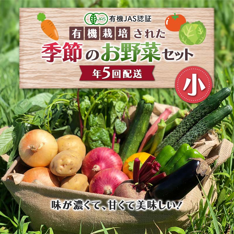 17位! 口コミ数「0件」評価「0」 《有機JAS認証》 オーガニック 季節のお野菜が届く定期便（小） 年5回配送 F23R-832