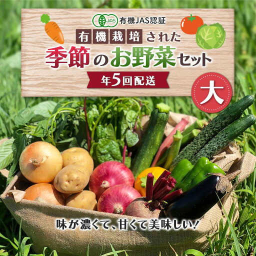 【ふるさと納税】 《有機JAS認証》 オーガニック 季節のお野菜が届く定期便(大) 年5回配送 F23R-833 【ふるさと納税】 《有機JAS認証》 オーガニック 季節のお野菜が届く定期便(大) 年5回配送 F23R-833