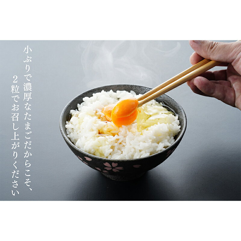 【ふるさと納税】名古屋コーチンの卵 36個 卵 生卵 名古屋コーチン 桜吹雪 新鮮 石井養鶏場 F23R-878