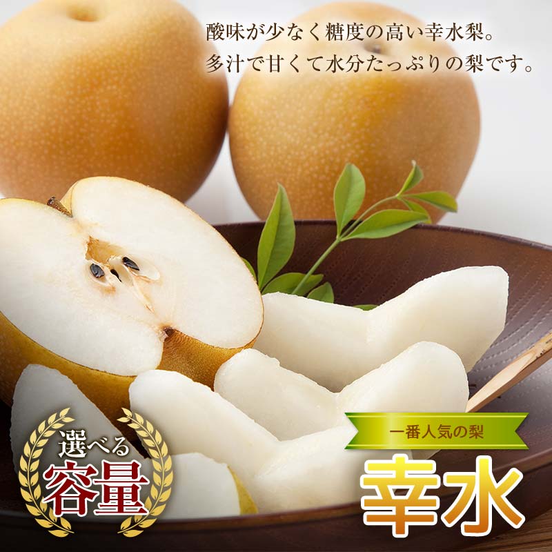 梨　幸水　41 8月上旬出荷開始】幸水 梨 4L 11〜13個入り 千葉県市川産市川の
