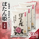 24位! 口コミ数「0件」評価「0」【地元ブランド】令和5年産ぼたん姫玄米　30kg【1061610】