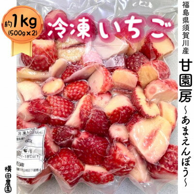 【ふるさと納税】冷凍いちご「甘園房~あまえんぼう~」 約1kg(約500g×2袋)【配送不可地域：離島】【1288303】