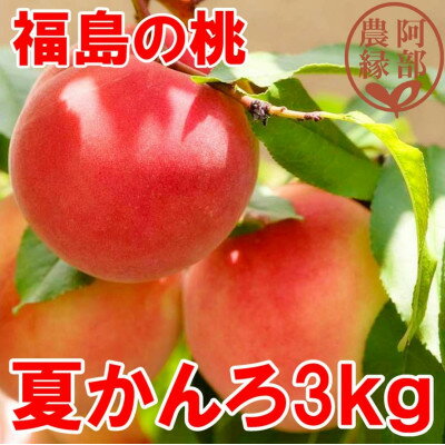 【ふるさと納税】阿部農縁　福島の桃　夏かんろ3kg(10～1