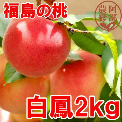 【ふるさと納税】阿部農縁　福島の桃　白鳳2kg(6～9玉)　