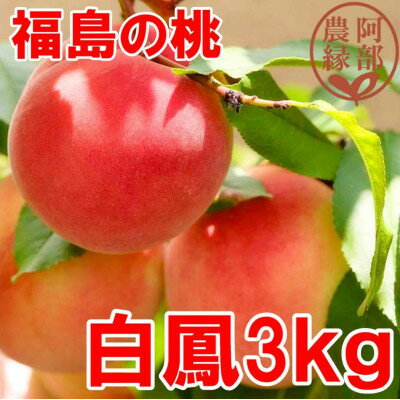 【ふるさと納税】阿部農縁　福島の桃　白鳳3kg(8～12玉)