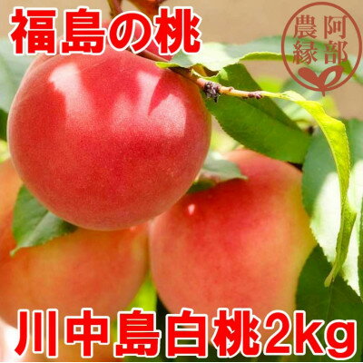 【ふるさと納税】阿部農縁　福島の桃　川中島白桃2kg(6～9