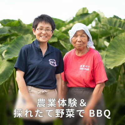 9位! 口コミ数「0件」評価「0」阿部農縁の採れたて野菜でBBQ!農業体験と野菜たっぷりバーベキュープラン　2名様【1363757】