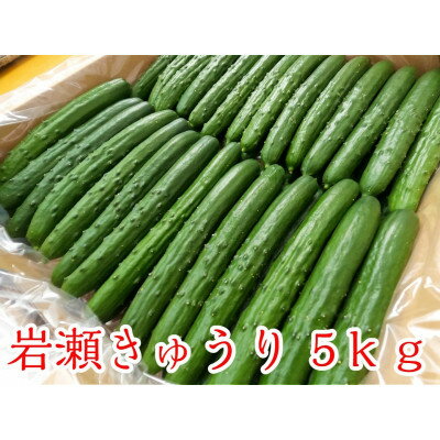 2位! 口コミ数「0件」評価「0」福島県須賀川市産【岩瀬キュウリ5kg】産地直送のパリパリ新鮮きゅうり【配送不可地域：離島】【1373715】