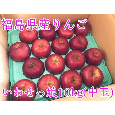 【ふるさと納税】福島県のりんご　蜜入りリンゴいわせっ娘　中玉10kg(36～46玉)【1400059】