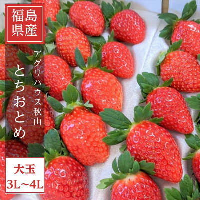 25位! 口コミ数「0件」評価「0」【アグリハウス秋山】 とちおとめ デラックス3L～4L 大玉 24～30粒【配送不可地域：離島・沖縄県】【1477696】