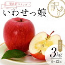 【ふるさと納税】<訳あり家庭用りんご>福島県のリンゴ いわせっ娘 約3kg(8〜12玉) F7X-0010